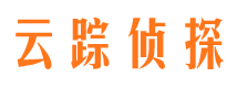 共和调查公司